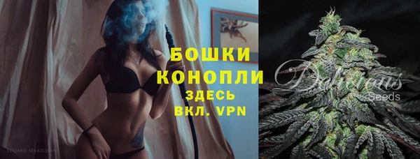 твердый Горно-Алтайск