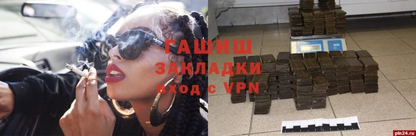 тгк Гусев