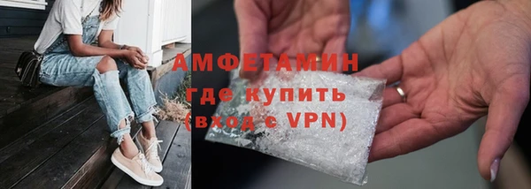 шишки Горняк