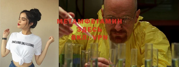 шишки Горняк
