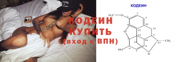 шишки Горняк