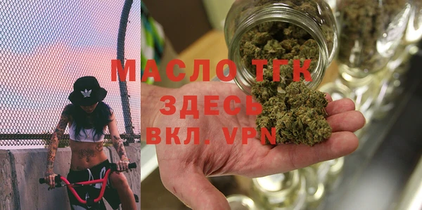 тгк Гусев
