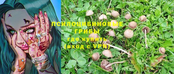 твердый Горно-Алтайск