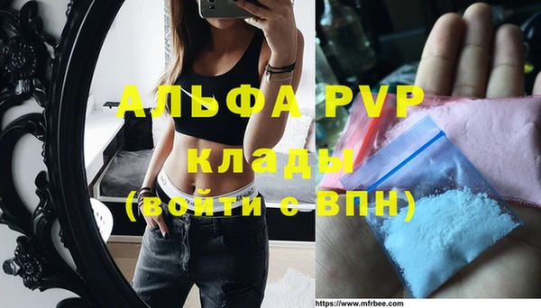шишки Горняк