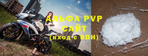шишки Горняк
