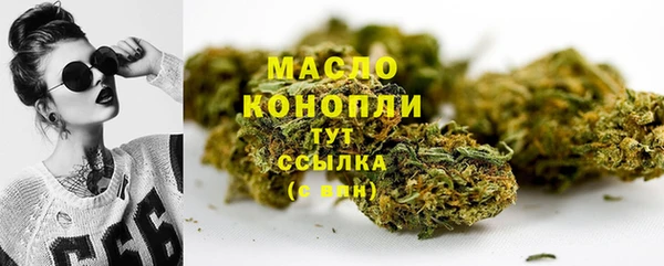 шишки Горняк