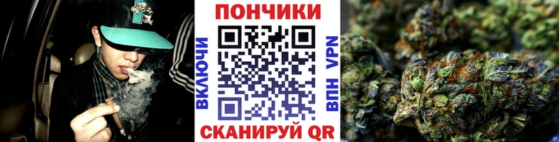 Конопля конопля Зеленоградск